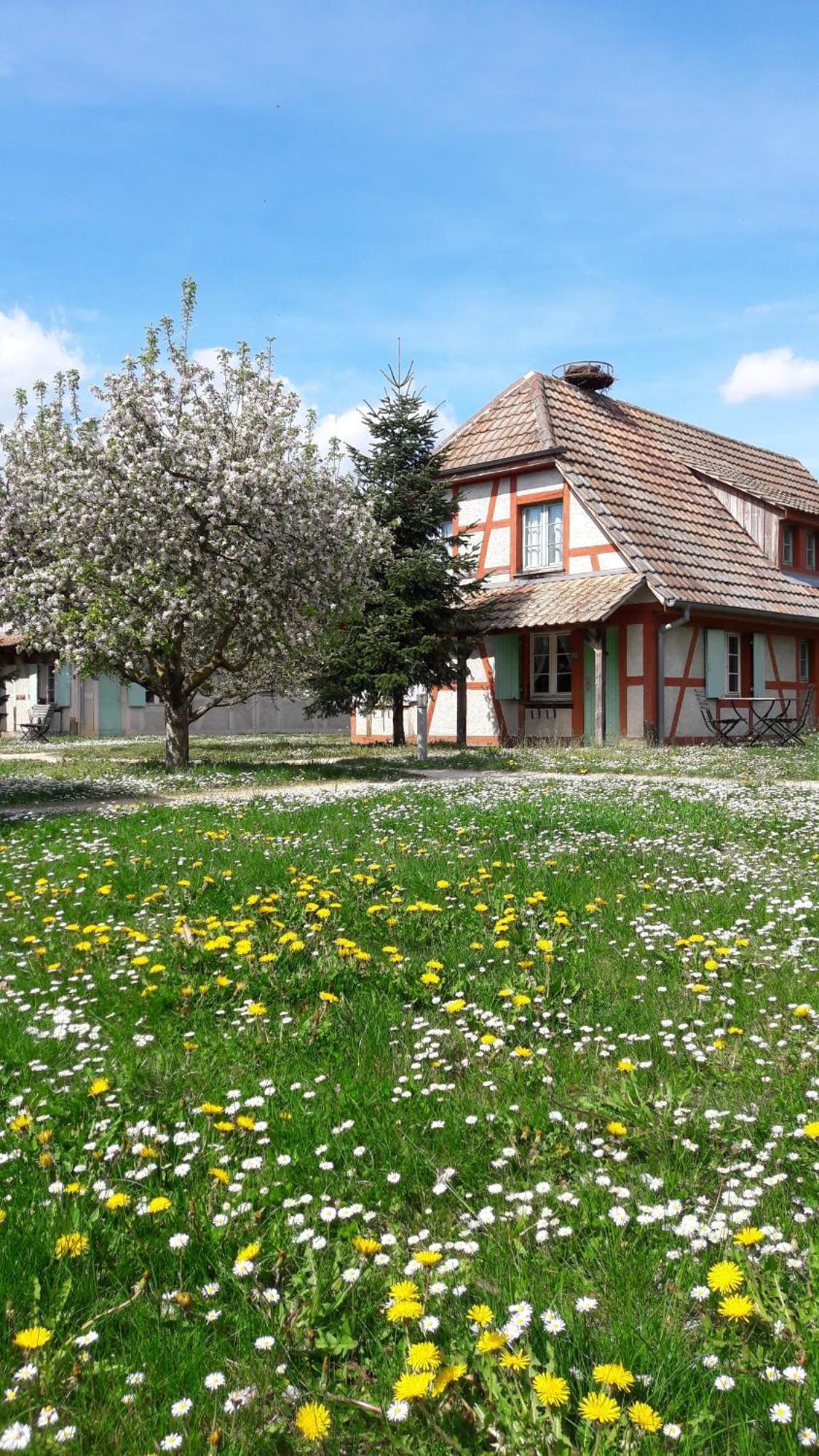 Les Loges De L'Ecomusee D'Alsace Ungersheim Bagian luar foto