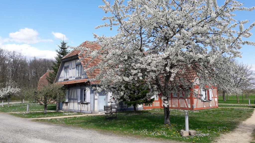 Les Loges De L'Ecomusee D'Alsace Ungersheim Bagian luar foto